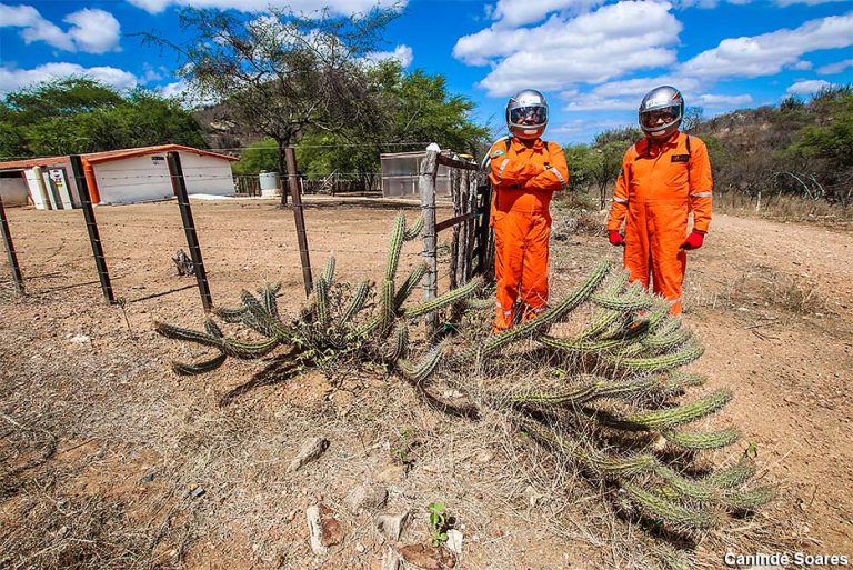 Estação Habitat Marte da UFRN busca voluntários para nova simulação