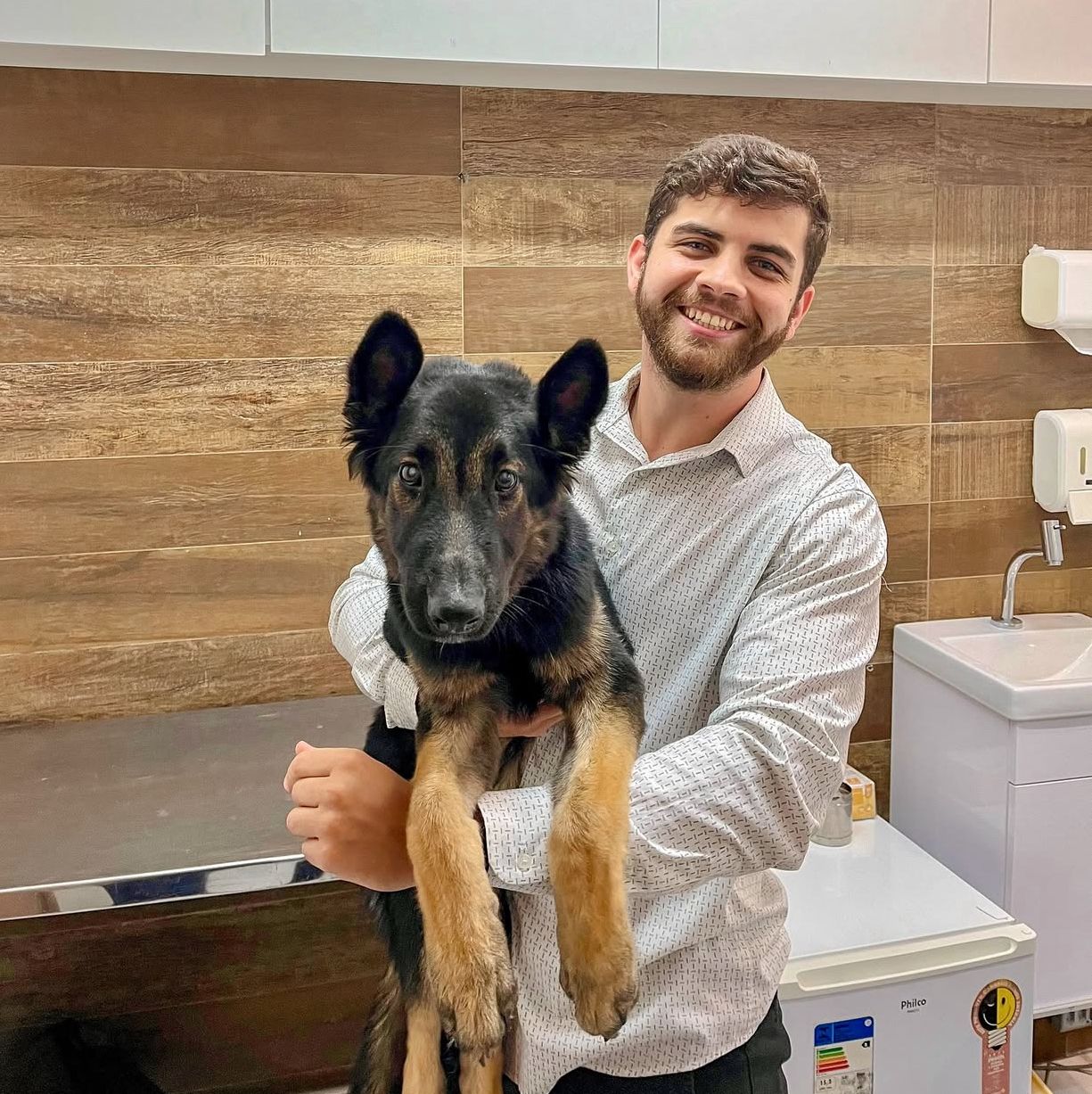 Diabetes em cães e gatos: entenda os sinais e a importância do diagnóstico precoce