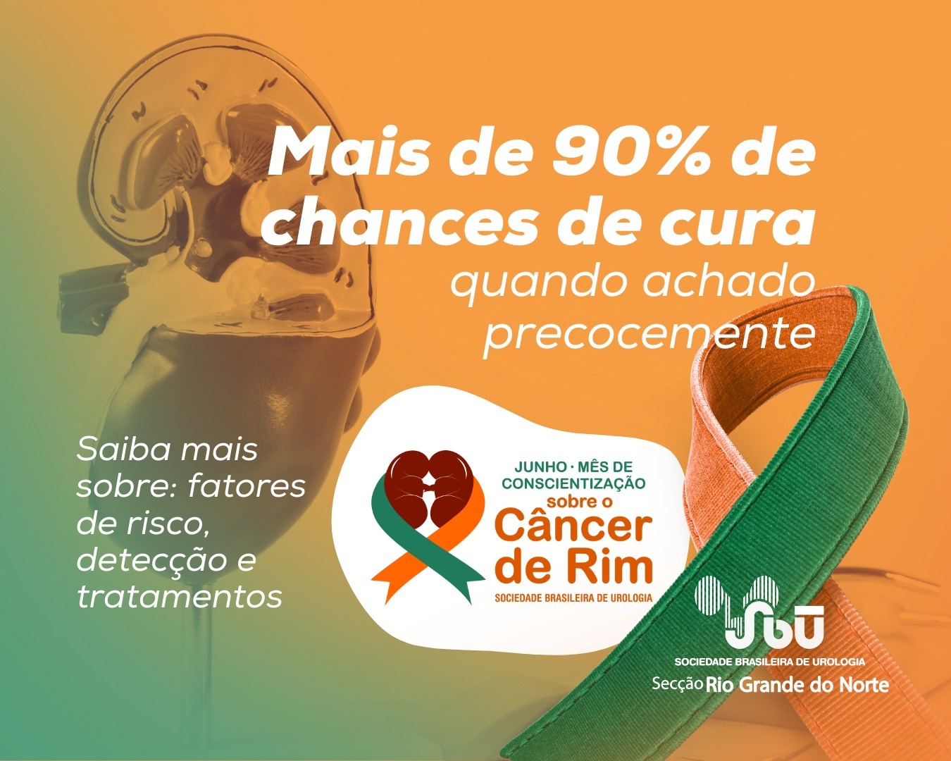 SBU-RN inicia campanha para alertar sobre o Câncer de Rim