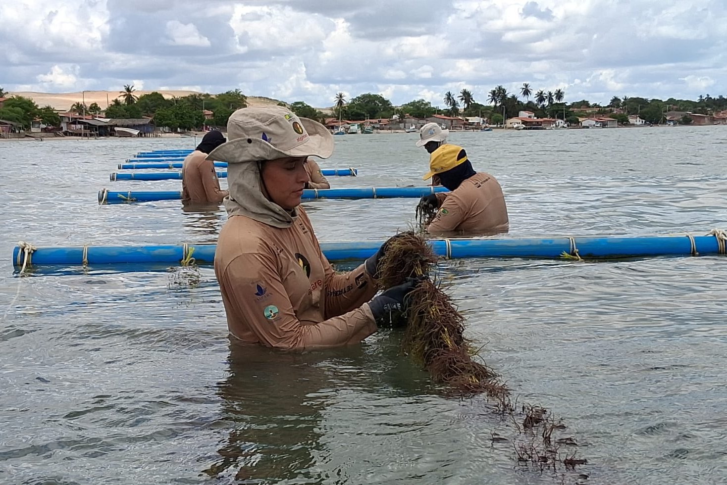 Projeto de cultivo de algas marinhas realiza Minicurso de Produção de Biofertilizantes.