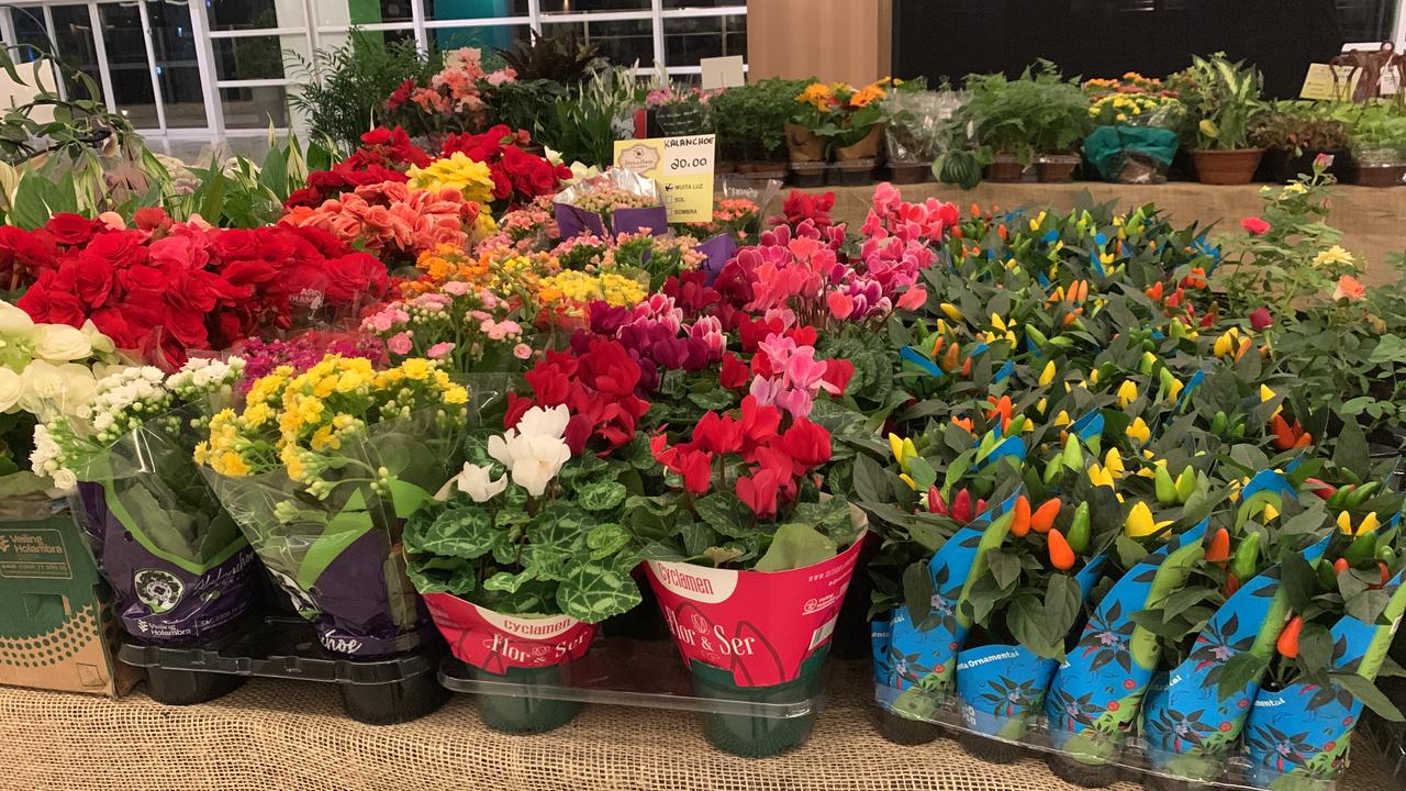 O presente que floresce com o amor: Feira de Holambra celebra o Mês das Mães em Natal
