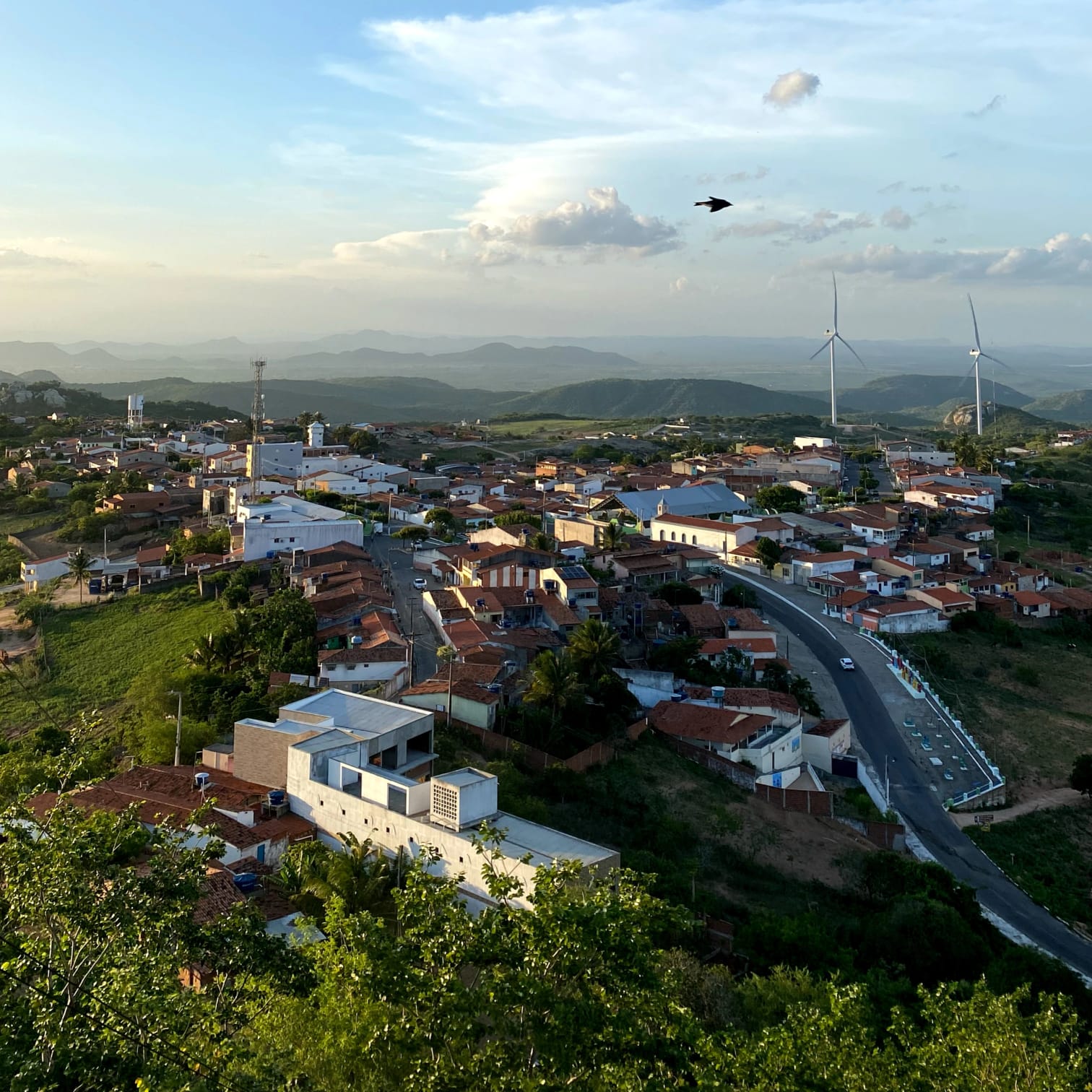 Xilo de corda: Monte das Gameleiras recebe projeto de xilogravura a partir desta segunda (4)