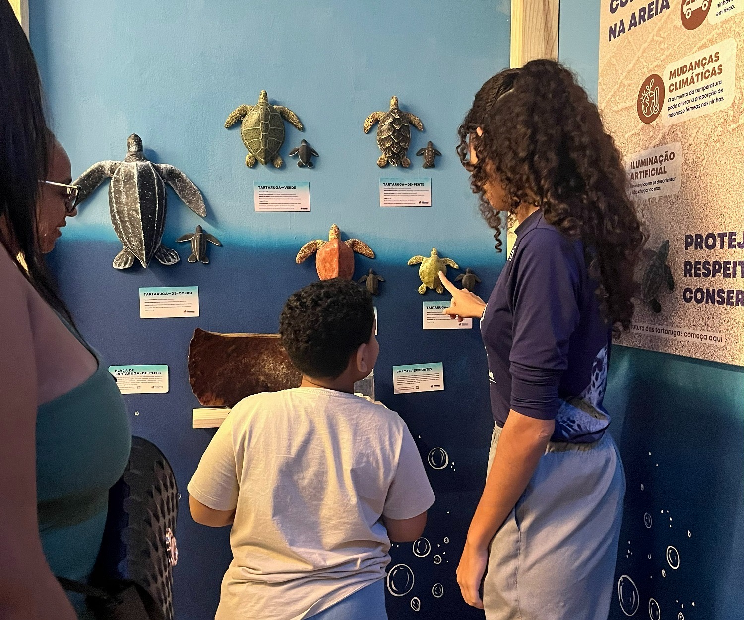 Exposição celebra o Dia Internacional das Tartarugas Marinhas no Midway Mall
