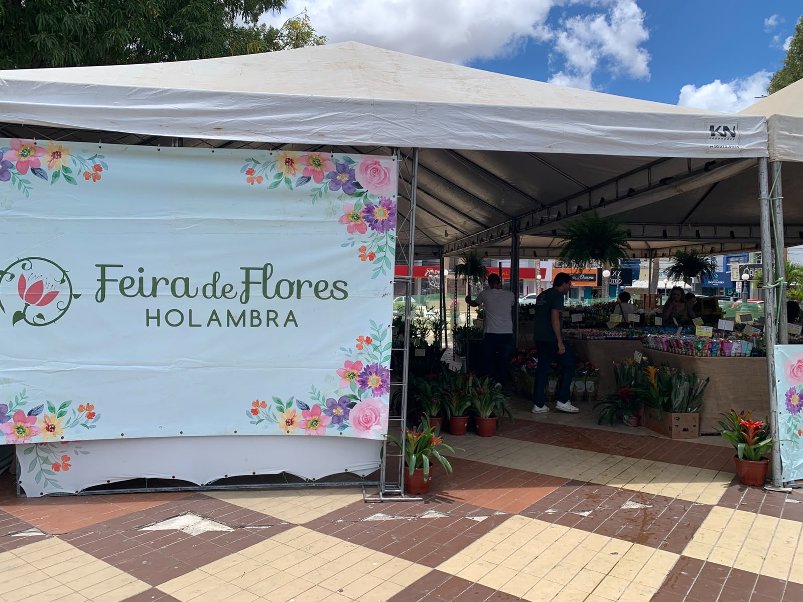 Feira de Flores de Holambra reúne mais de 200 espécies de plantas em Mossoró