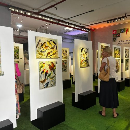 Exposição suíço-brasileira sobre a Amazônia fica até 30 de junho no Aeroporto de Natal