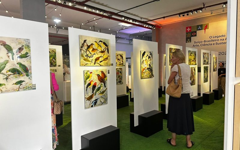 Exposição suíço-brasileira sobre a Amazônia fica até 30 de junho no Aeroporto de Natal