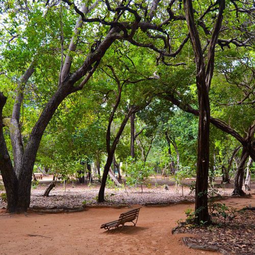 SBACV-RN realiza ação no Parque das Dunas para orientar sobre os riscos da trombose