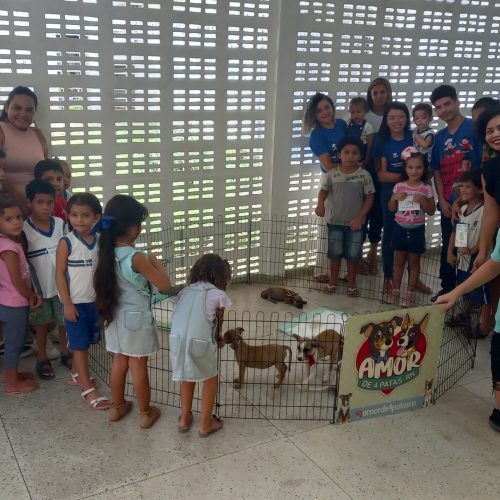 CMEI Professora Maria Abigail Barros promove uma Feira de Adoção de cães em Natal