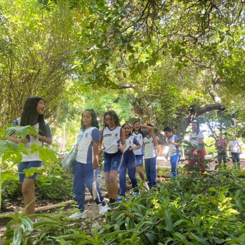 Estudantes de Natal participam da Semana do Meio Ambiente no Bosque das Mangueiras