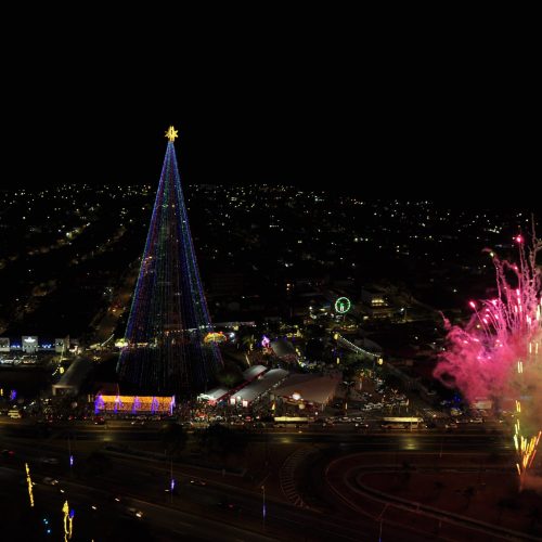 Árvore de Mirassol está oficialmente acesa e marca ponto alto do Natal em Natal 2024