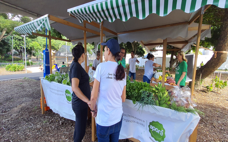Semurb divulga resultado da seleção para a Feira de Agricultura no Bosque das Mangueiras