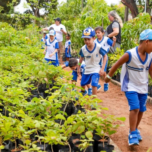 Semsur promove experiências educativas ambientais com estudantes de Natal