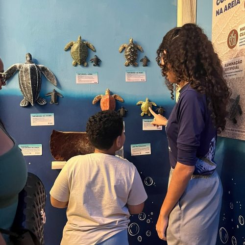 Exposição celebra o Dia Internacional das Tartarugas Marinhas no Midway Mall
