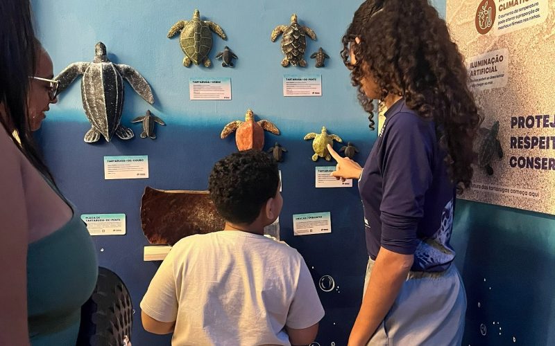 Exposição celebra o Dia Internacional das Tartarugas Marinhas no Midway Mall
