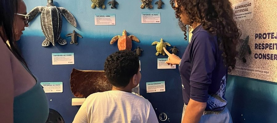 Exposição celebra o Dia Internacional das Tartarugas Marinhas no Midway Mall