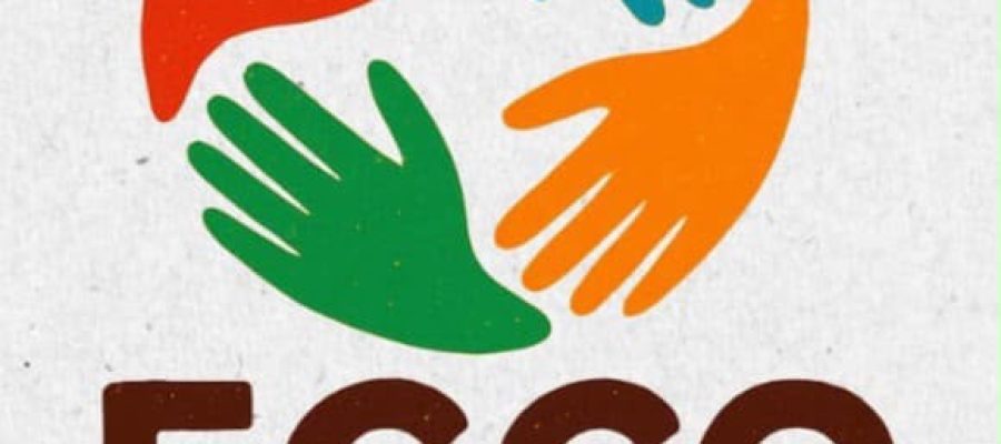 Eccofeira promove lazer, gastronomia e solidariedade na Ferreira Costa Natal