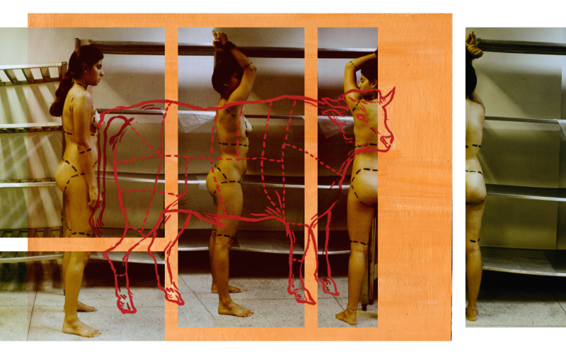 Artista potiguar reflete sobre condição feminina em exposição na Margem Galeria em Natal