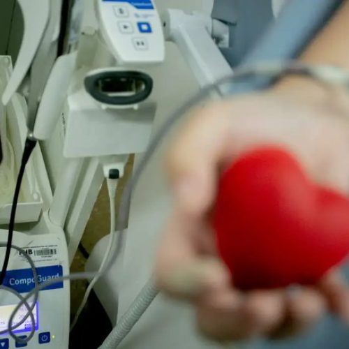 Junho Vermelho: “Sinto que [ao doar] fui o braço direito de um médico para salvar alguém”