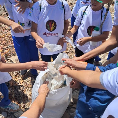 Projeto comunitário de cultivo de algas promove mutirão de limpeza em Macau e Galinhos