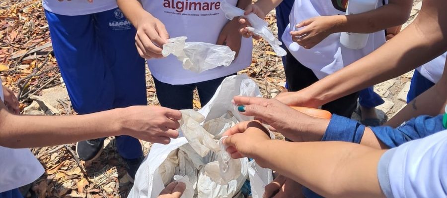Projeto comunitário de cultivo de algas promove mutirão de limpeza em Macau e Galinhos