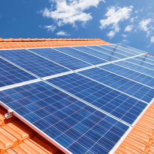Jardim de Piranhas troca a conta de luz por investimento e se torna referência em sustentabilidade