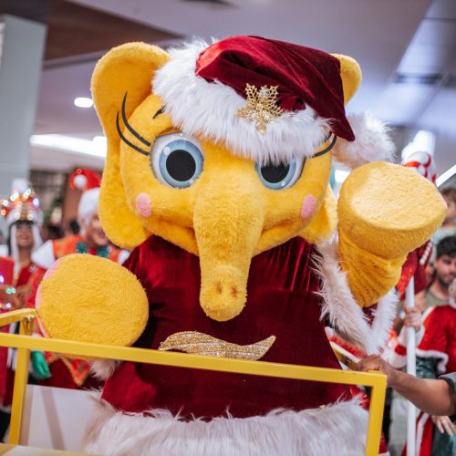 Natal Shopping apresenta “Natal da Gentileza”, em parceria com O Boticário e Instituto Gentil