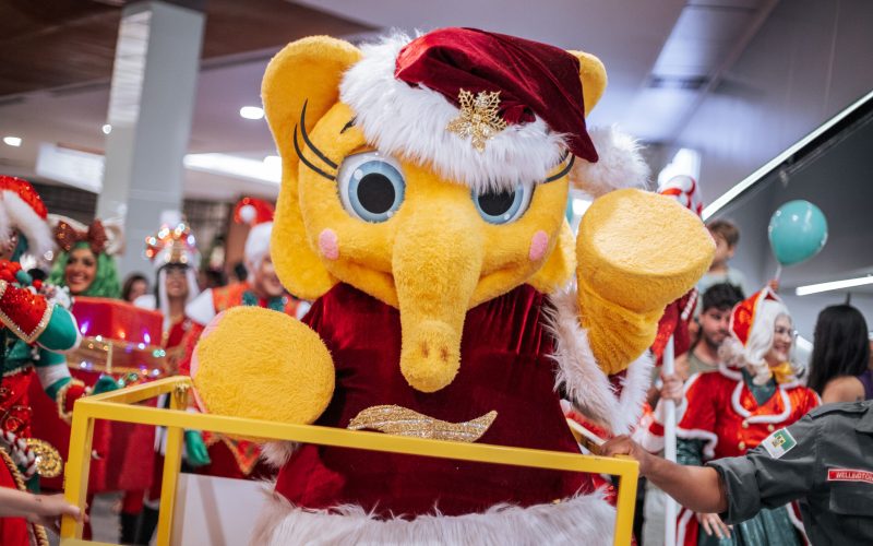 Natal Shopping apresenta “Natal da Gentileza”, em parceria com O Boticário e Instituto Gentil