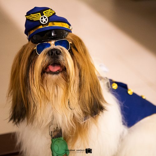 ENCÃOTRO.RN realiza edição carnavalesca neste sábado (2) no Ferreira Costa