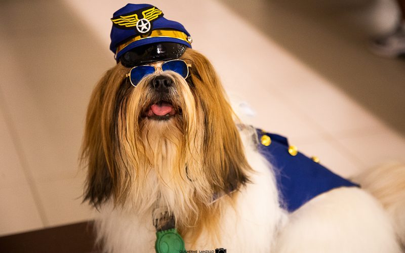 ENCÃOTRO.RN realiza edição carnavalesca neste sábado (2) no Ferreira Costa