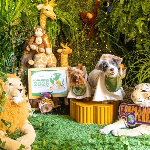 Hotel e Day Care “My Best Nanny” realiza ensaio de formandos com seus alunos pets