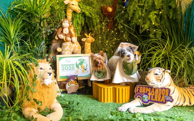 Hotel e Day Care “My Best Nanny” realiza ensaio de formandos com seus alunos pets