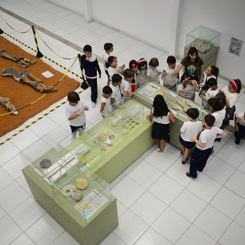Museu Câmara Cascudo lança programação da Semana Nacional de Museus