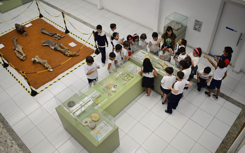 Museu Câmara Cascudo lança programação da Semana Nacional de Museus