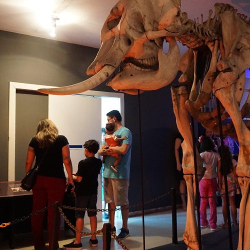Museu Câmara Cascudo começa programação da 19ª Primavera dos Museus neste sábado