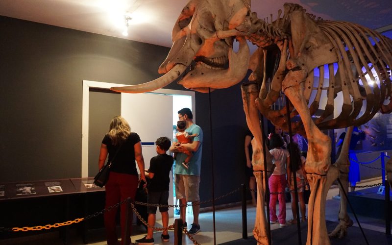 Museu Câmara Cascudo começa programação da 19ª Primavera dos Museus neste sábado