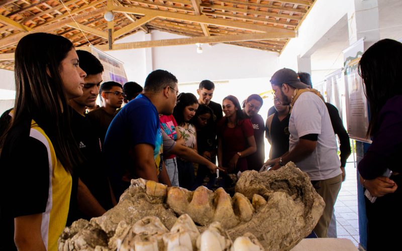Parnamirim recebe exposição gratuita do MCC sobre a megafauna e mudanças climáticas