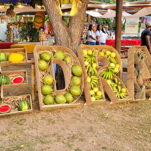 Governo do RN leva comitiva potiguar para a 4ª Feira Nordestina da Agricultura Familiar