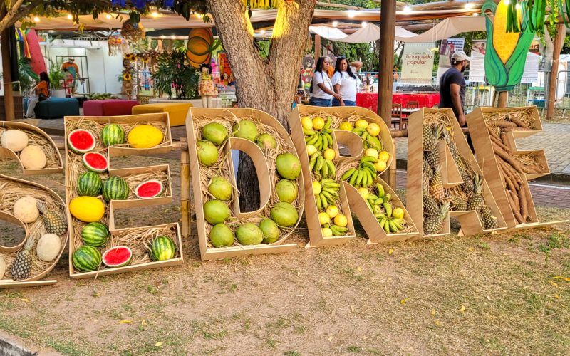 Governo do RN leva comitiva potiguar para a 4ª Feira Nordestina da Agricultura Familiar