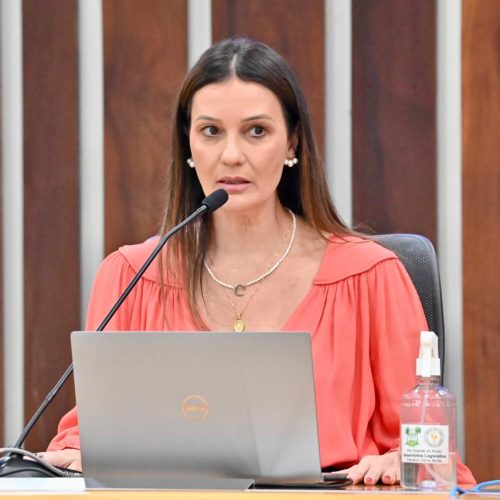 Mulheres desacompanhadas terão “assento rosa” em ônibus intermunicipais do RN