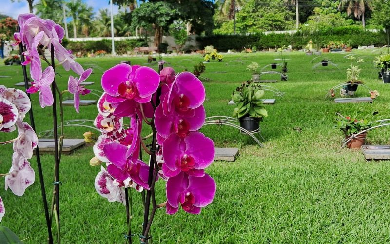 No Dia das Mães, visitantes movimentam cemitérios potiguares com missas e homenagens 