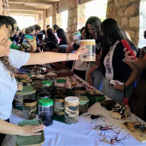 Feira das Profissões da Uern 2024 amplia oportunidades e promete atrair mais estudantes
