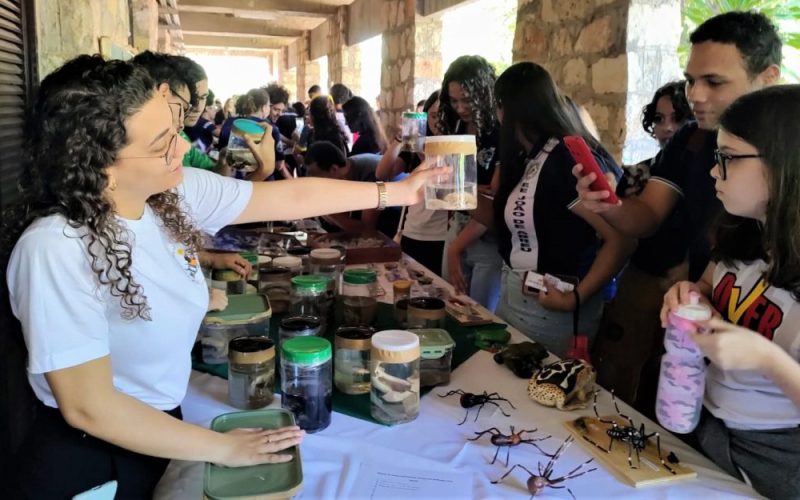 Feira das Profissões da Uern 2024 amplia oportunidades e promete atrair mais estudantes