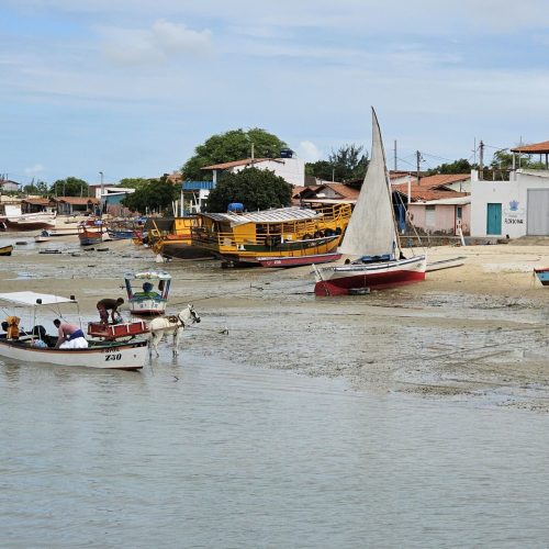 Projeto selecionado pela Petrobras realiza mutirão de limpeza em Galinhos