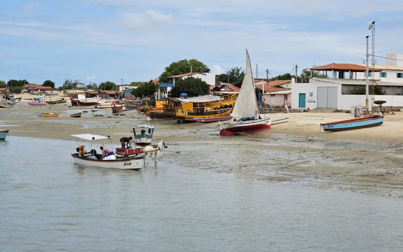 Projeto selecionado pela Petrobras realiza mutirão de limpeza em Galinhos