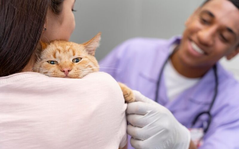Centro Veterinário da UnP promove vacinação antirrábica e vermifugação de animais em Natal