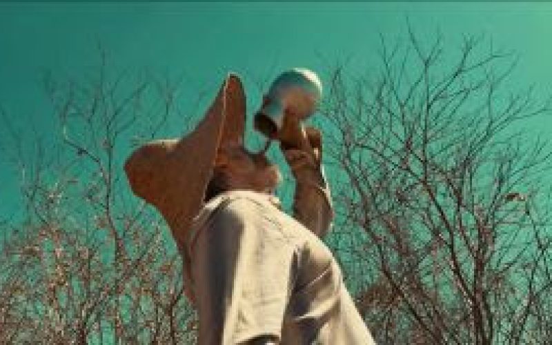 Festival Internacional de Cinema de Baía Formosa divulga filmes selecionados