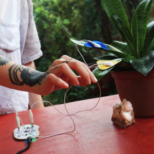 Sayonara Pinheiro apresenta instalação sonora “Caatinga” em Caicó 