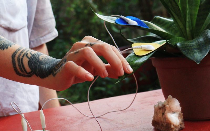 Sayonara Pinheiro apresenta instalação sonora “Caatinga” em Caicó 