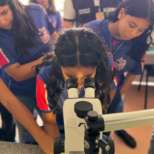 Inscrições abertas para Feira de Ciências e Mostras Científicas do ISD; saiba como participar