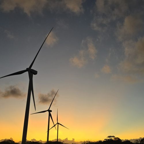 “Filho do Vento” desenvolve roteiro de longa-metragem sobre os impactos da energia eólica no RN e PB